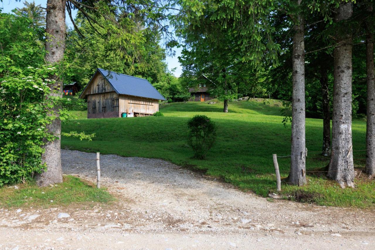 Pocitniska Hisa Eros Bohinj